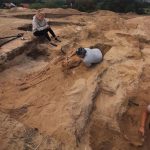 باستان‌شناسان از کشف بقایای یک خون‌آشام زن در لهستان خبر دادند