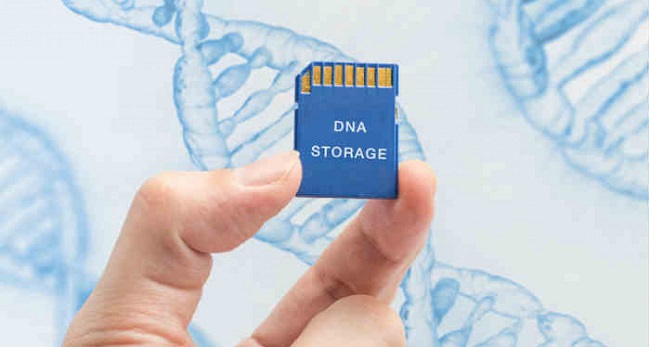 ذخیره‌سازی اطلاعات با استفاده از DNA