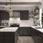 ۴۵ مدل کابینت آشپزخانه مشکی رنگ برای تکمیل دکوراسیون | شکوه و زیبایی آشپزخانه را به نهایت برسانید