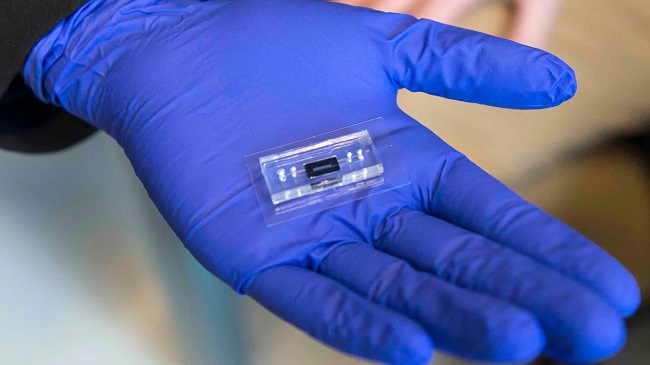 آزمایشگاه روی تراشه (Lab-On-Chip) مبتنی بر DNA