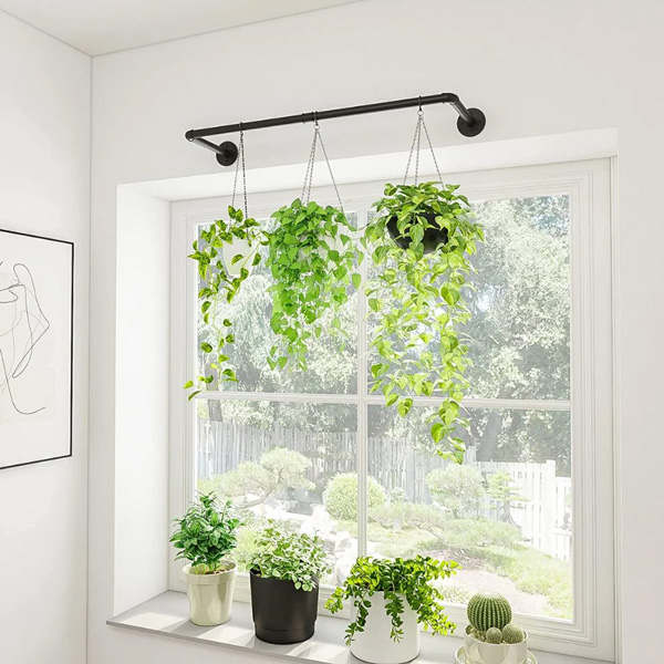 باغچه‌ای در قلب آپارتمان | ۱۰ ایده خلاقانه برای پرورش گیاهان در فضای کوچک