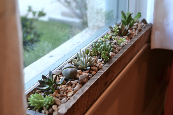 باغچه‌ای در قلب آپارتمان | ۱۰ ایده خلاقانه برای پرورش گیاهان در فضای کوچک