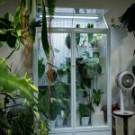 ۴ ایده شگفت‌انگیز برای تبدیل خانه به باغی سرسبز!