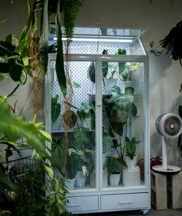 ۴ ایده شگفت‌انگیز برای تبدیل خانه به باغی سرسبز!