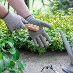 از تمیز کردن دستکش‌های باغبانی غافل نشوید | راهنمای شستشوی انواع مختلف دستکش‌های باغبانی