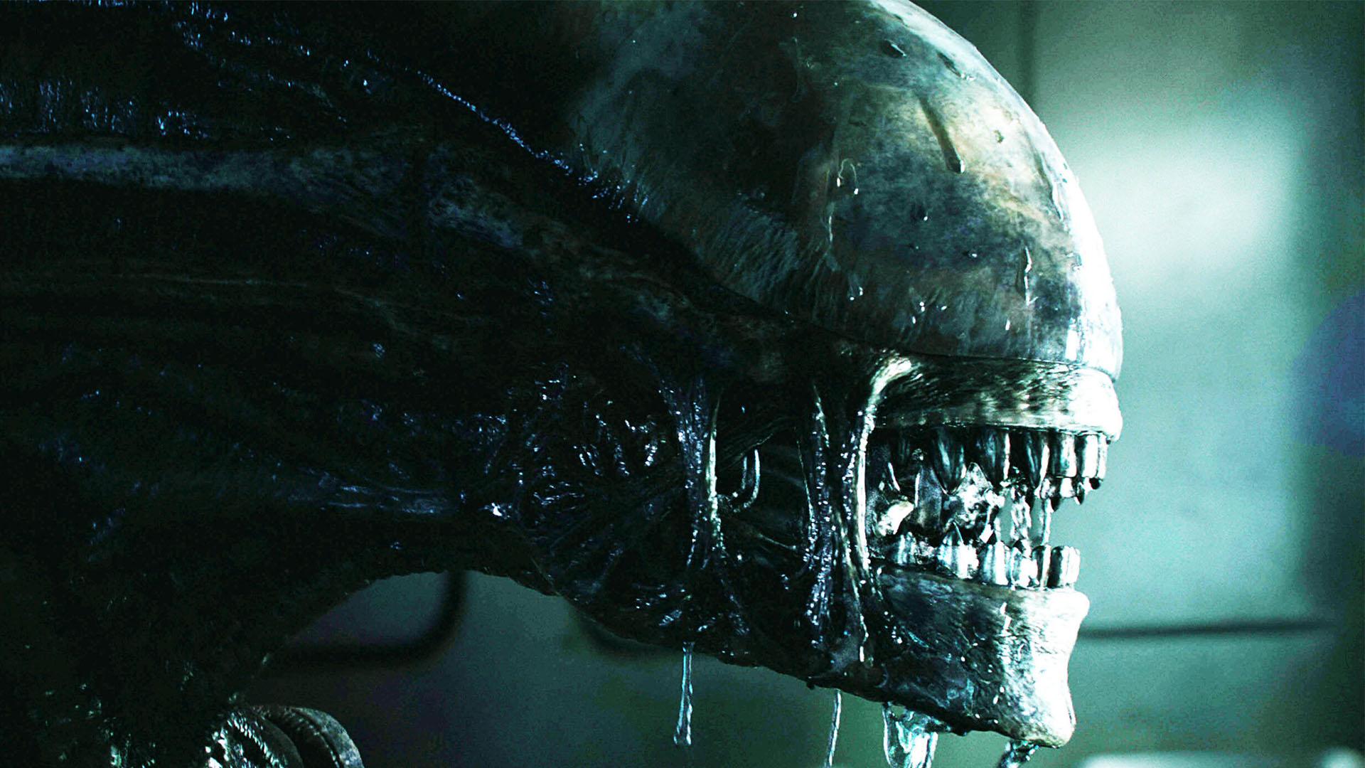 تصویری از زنومورف از مجموعه فیلم‌های سینمایی Alien