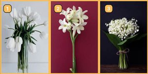 تست شخصیت بهاری | گل سفید مورد علاقه تو انتخاب کن، تا بگم شخصیتت امسال چجوریه؟