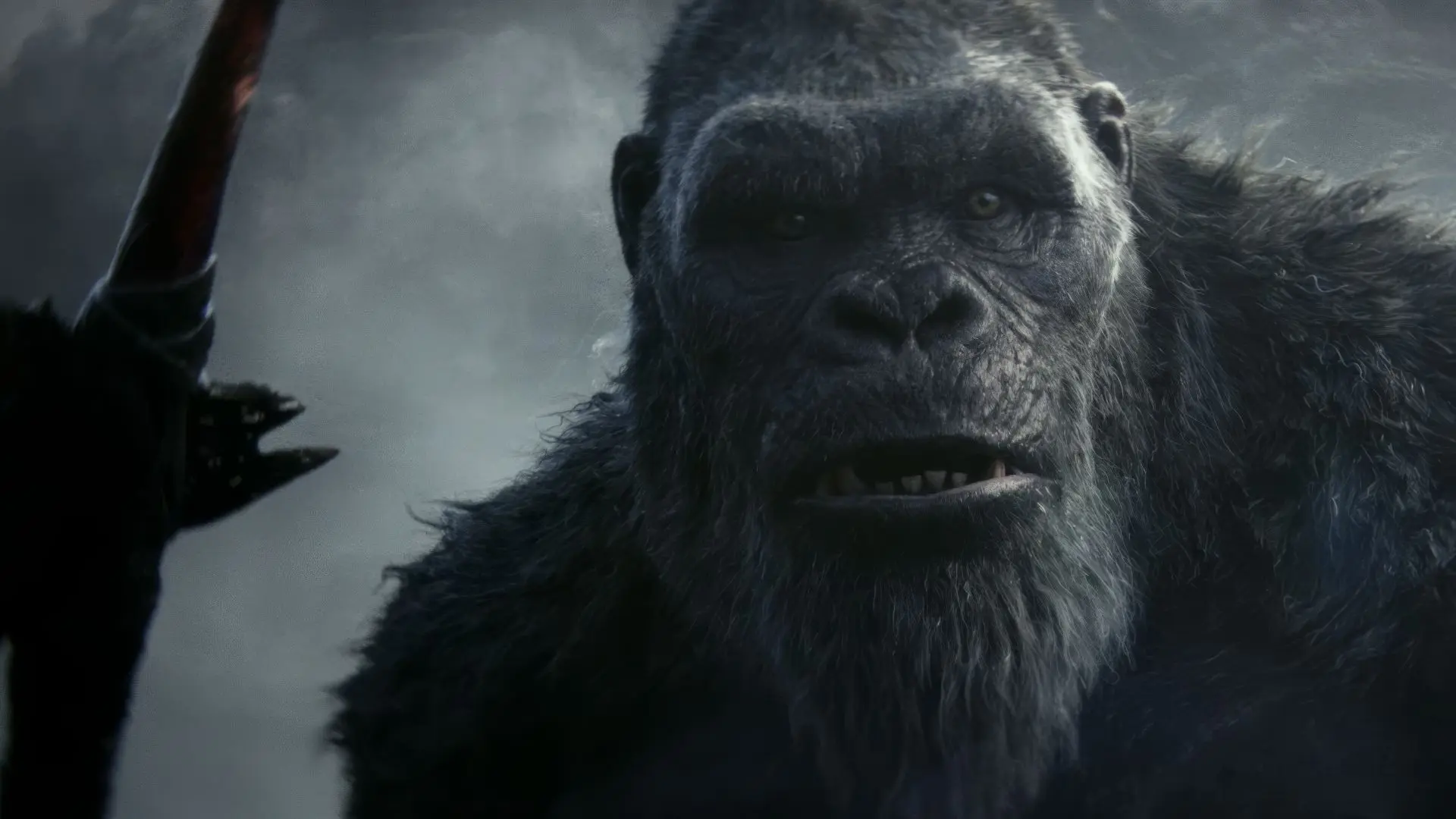 کینگ کونگ در دنیای جدید در فیلم Godzilla x Kong: The New Empire
